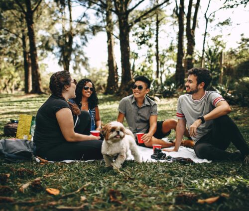 An overview of anxiety and how Solution Focused Hypnotherapy can help